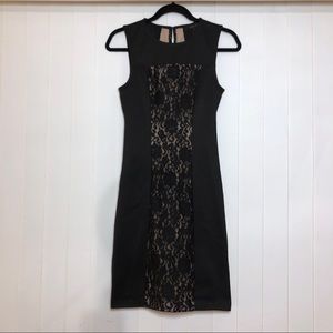 NWT BCBGMaxAzria Bodycon Lace Dress
